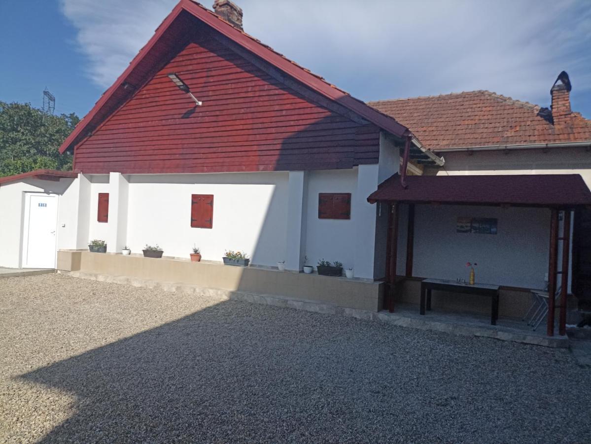La Zinculescu Hotel Albeştii Pământeni Exterior foto